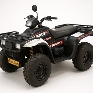 2 Stroke