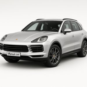 Cayenne