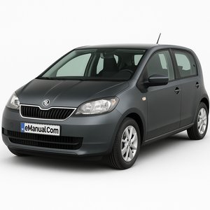 Citigo
