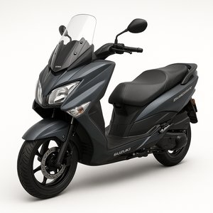 Burgman Series