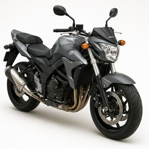 GSR モデル
