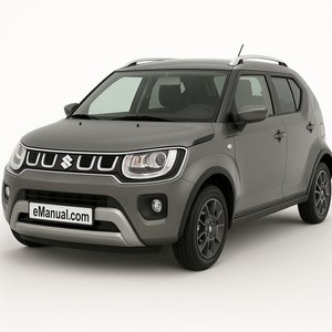 Ignis