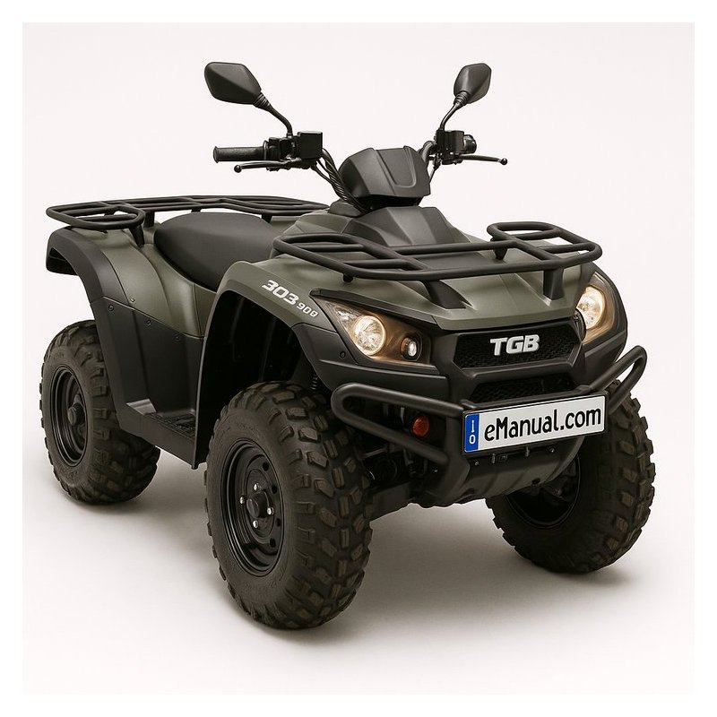 Tgb 303 RS 150 Workshop Service Repair Manual PDF Download