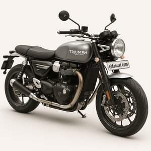 Speed Twin