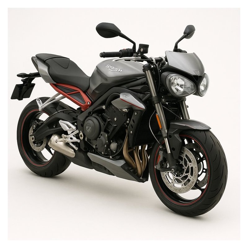 Triumph Daytona 675 Street Triple & Street Triple R Workshop Service Repair Manual PDF Download
