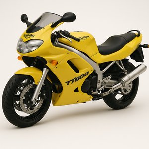 TT 600