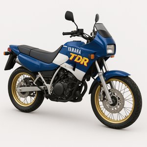 TDR Models