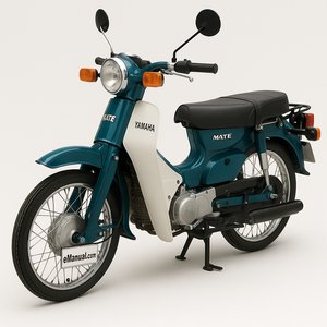 Y80 Mate