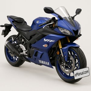 YZF Models