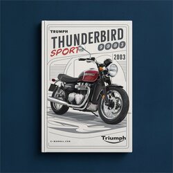 2003 Triumph Thunderbird Sport 900 Service Repair Workshop Manual PDF