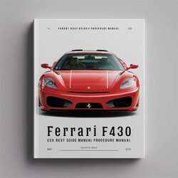 Ferrari F430 ECU Reset Procedure Service Repair Workshop Manual PDF