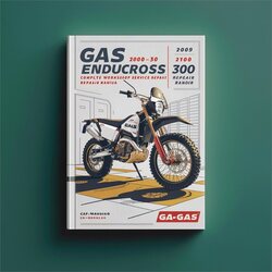 2006-2009 Gas EC Models Enducross 200 250 300 Service Repair Workshop Manual PDF