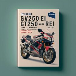 2009-2012 Hyosung GT250 GV250 Ei Rei Motorcycle Service Repair Workshop Manual PDF