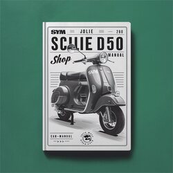 Baotian SYM Jolie DD50 Scooter Shop Service Repair Workshop Manual PDF