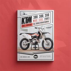 1999-2003 KTM 250 300 380 SX MXC EXC Service Repair Workshop Manual PDF