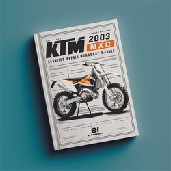 2000-2003 KTM 250 MXC Service Repair Workshop Manual PDF