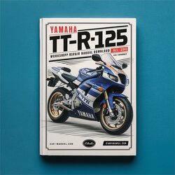 2009-2010 Yamaha TTR Models TT-R125 TTR125 All - Covered Service Repair Workshop Manual PDF