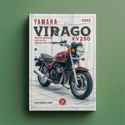 2002 Yamaha Virago 250 XV250 Parts Catalog PDF