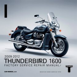 2009-2012 Triumph Thunderbird 1600 Service Repair Workshop Manual PDF