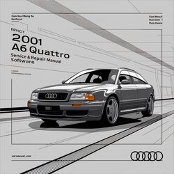 2001 Audi Quattro A6 Software Service Repair Workshop Manual PDF