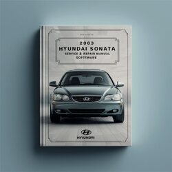 2003 Hyundai Sonata Software Service Repair Workshop Manual PDF
