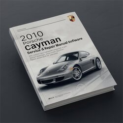 2010 Porsche Cayman Software Service Repair Workshop Manual PDF