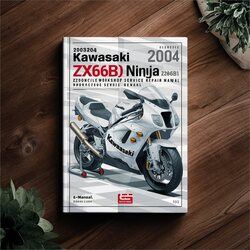 2003-2004 Kawasaki Ninja Zx6r(r) Zx636b1 Zx600k1 Motorcycle Service Repair Workshop Manual PDF