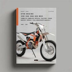 1999-2003 KTM 250 Engine 300 380 SX MXC EXC Official / Service Repair Workshop Manual PDF