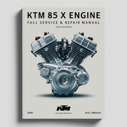2004 KTM 85 SX Engine -onwards Service Repair Workshop Manual PDF