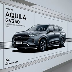 Hyosung Aquila GV250 Service Repair Workshop Manual PDF