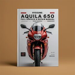 2005 Hyosung Aquila 650 GV650 -onwards Service Repair Workshop Manual PDF