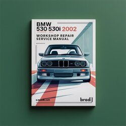 2002 BMW 5 Series 530 530I Service Repair Workshop Manual PDF