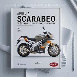 Aprilia Scarabeo 50 2T Engine Service Repair Workshop Manual PDF