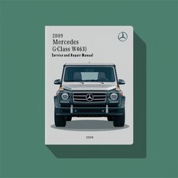 2009 Mercedes G-CLASS (W463) Service Repair Workshop Manual PDF