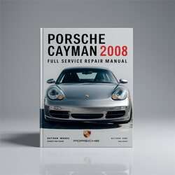 2008 Porsche Cayman Service Repair Workshop Manual PDF