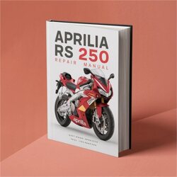 Aprilia RS Models 250 Service Repair Workshop Manual PDF