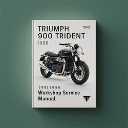 1991-1998 Triumph Trident 900 Service Repair Workshop Manual PDF