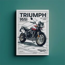 2001-2006 Triumph Tiger Models 955I Service Repair Workshop Manual PDF