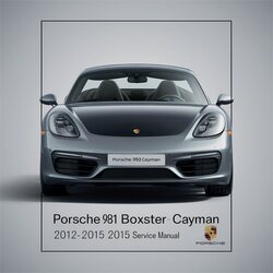 2012-2015 Porsche Boxster 981 Cayman Service Repair Workshop Manual PDF