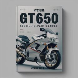 Hyosung Comet GT650 Service Repair Workshop Manual PDF