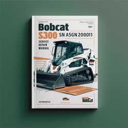 Bobcat S300 SN A5gn20001 Above Service Repair Workshop Manual PDF