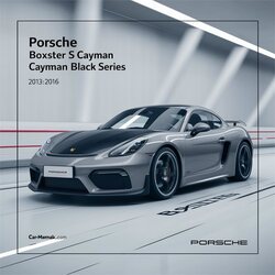 2013-2016 Porsche Boxster S, Cayman, Cayman Gt4, Black Series Service Repair Workshop Manual PDF