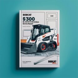 Bobcat S300 SN 531011001 Above Service Repair Workshop Manual PDF