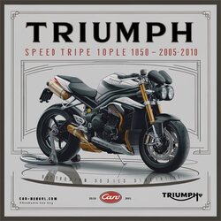 2005-2010 Triumph Speed Triple Service Repair Workshop Manual PDF