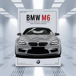2006-2010 BMW 3 Series M6 E63 E64 Service Repair Workshop Manual PDF