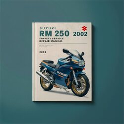 2002 Suzuki RM Series 250 Service Repair Workshop Manual PDF