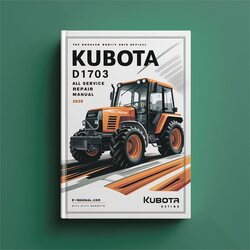 Kubota D1703 Engine All Service Repair Workshop Manual PDF