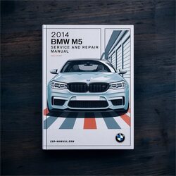 2014 BMW 2 Series M5 F10 Service Repair Workshop Manual PDF