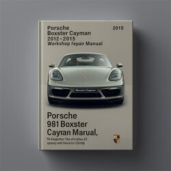 2012-2015 Porsche Cayman 981 Boxter Service Repair Workshop Manual PDF
