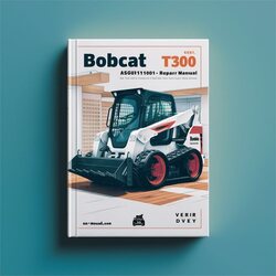 Bobcat T300 SN A5gu11001-a5gu19999 Service Repair Workshop Manual PDF
